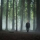 ¿Qué ver?: “Yaga” revive el mito de Baba Yaga en un thriller sobrenatural