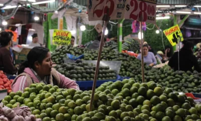 ‘Tomate se dispara’: Inflación en México repunta a 3.62% en octubre, ¿qué alimentos subieron de precio?